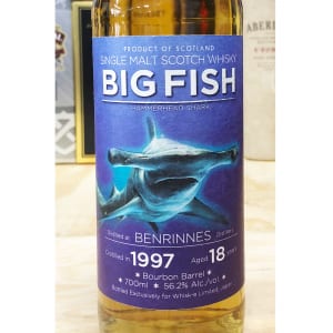bigfishbenrinnes18